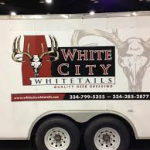 White City Whitetails